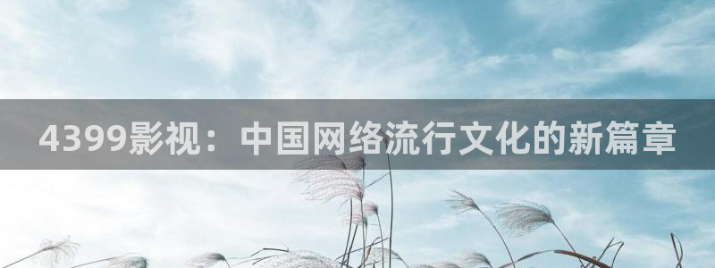 探花视频是什么