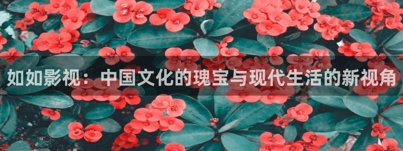 探花视频在线观看视频