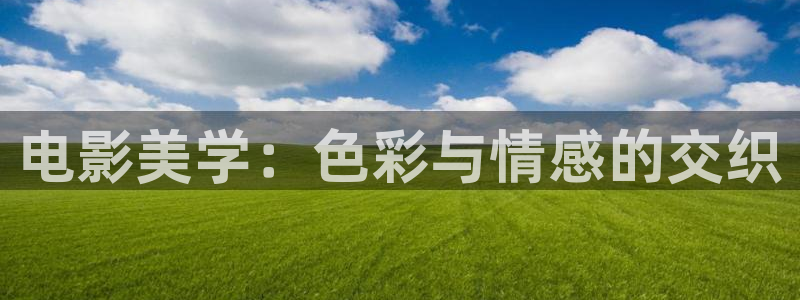 在线探花视频