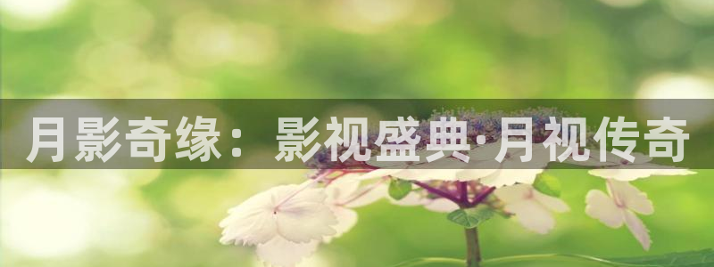 探花视频在线观看在线播放
