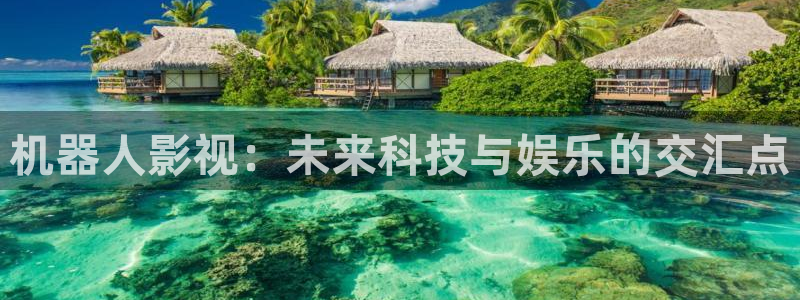 国产探花系列视频在线观看