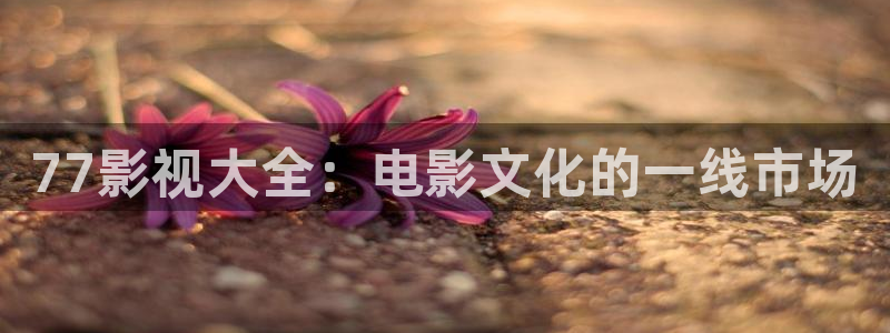 51探花视频