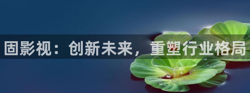 探花系列在线观看免费视频www