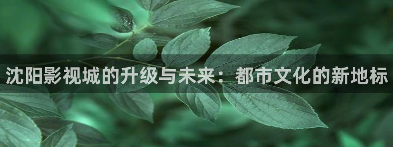 探花系列视频在线观看