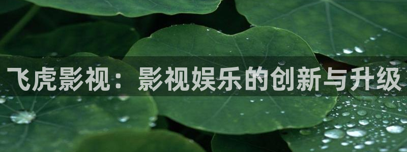 探花最新视频