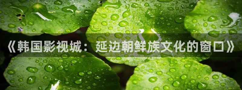 免费探花视频