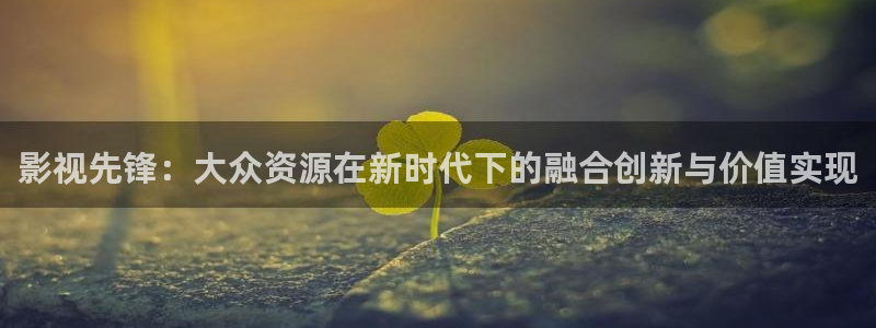探花 在线观看